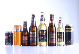 瑪咖啤酒代理加盟與啤酒設(shè)備全解析 機遇與選擇