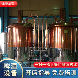 精釀啤酒設(shè)備投資指南 價(jià)格解析與一體機(jī)、分體機(jī)選擇策略